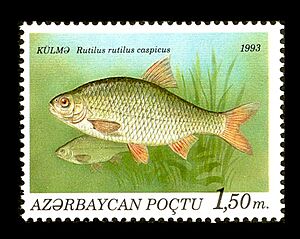 Stamps of Azerbaijan, 1993-196.jpg