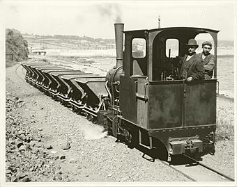 Steam locomotive with dump wagons.jpg