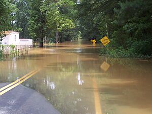 SweetwaterCreekFlood2005