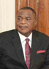 Vice-President of Zimbabwe Facts for Kids