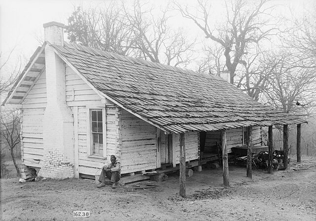 Thornhill Plantation 05
