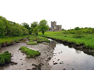 Tintern Abbey (Co, Wexford)