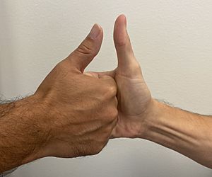 Two people engaged in a thumb war