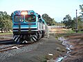 Watco CBH 1 and 2 Broomehill