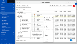 Webmin 2.010 - File Manager