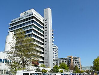 Wedding Fennstraße Scherig-Hochhaus