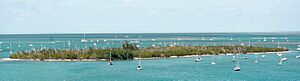 Wisteria Island, Key West, FL, US
