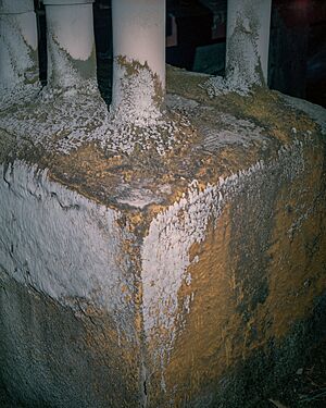 -47 Concrete weathering