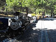 20110827 Live Steamer K-WRR Train Mtn 0003
