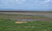 Aberlady Bay with a view looking over the Forth