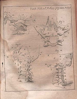Acta Eruditorum - VII anatomia ossa, 1699 – BEIC 13360151