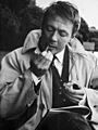 Allan Edwall 1965