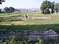 Anfiteatro di Suasa - Vomitorium laterale 3