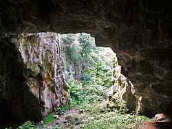 Ashhole Cavern Brixham.JPG