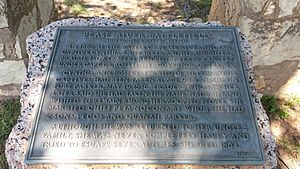 Battle of Pease River