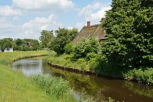 Bekdorf, die Bekau NIK 0166