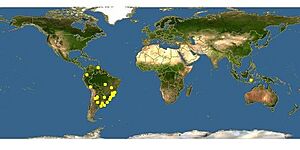 Bombus Atratus Map.jpg