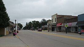 Looking east along W. Saginaw Street (M-46)