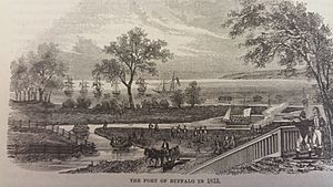Buffalo 1813