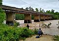 Bynum Bridge 5
