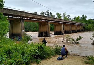 Bynum Bridge 5