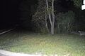 CCC Camp Shiloh at night