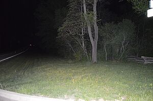 CCC Camp Shiloh at night