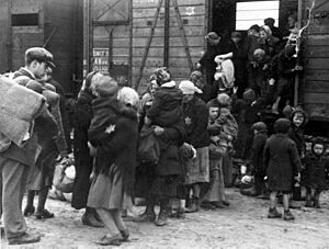 Carpathian Ruthenian Jews disembark from a train at Birkenau