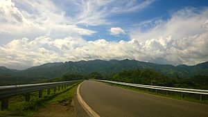 Puerto Rico Highway 150 in Hato Puerco Abajo