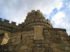 Castillo de Manzanares (Madrid)