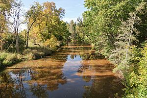 A landscape photograph showing the Charlotte River in Bruce Township, Chippewa County, Michigan