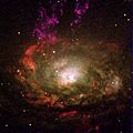 Circinus.galaxy.750pix