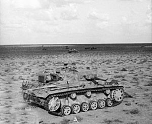 Damaged Panzer IIIs near Belhamed2 1941