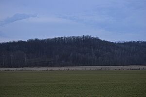 Davis Works hill
