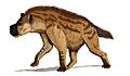 Dinocrocuta101