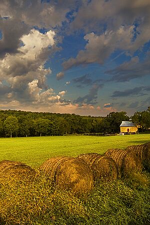 Douglas County Kansas USA