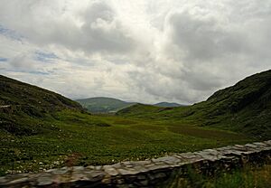 Eirk-Bog