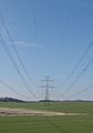 Electrical wires near Putim