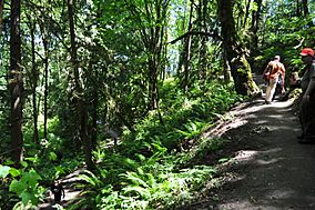 Evans Creek Preserve - 043 (27319776781).jpg