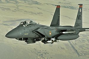 F-15E Strike Eagle over Afghanistan.jpg