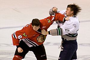 Fight in ice hockey 2009