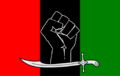 Flag of PPP-SB