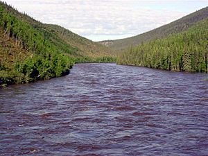 Fortymile River from Taylor Highway.jpg