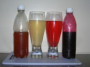 Garcinia indica yellow and red syrups and drinks
