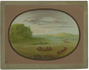 George Catlin, Gathering Wild Rice - Winnebago, 1861-1869, NGA 50446