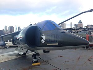 Harrier intrepid