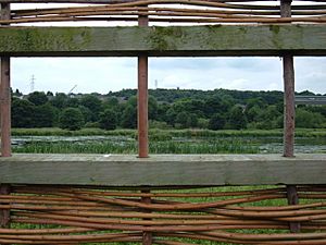 Hide, Rodley Nature Reserve - geograph.org.uk - 471066