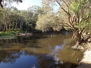 Hillards Creek at Ormiston Park