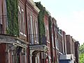 Homes facing Yeatman Square Park