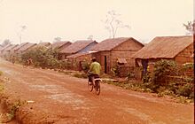 Houses in Nong Samet